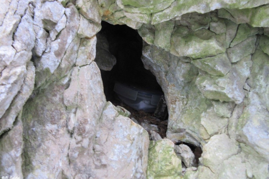 Geocaching | © Christiane Geidel