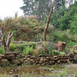 Garten mit Trockensteinmauern, stehendem und liegendem Totholz und bunt blühenden Pflanzen | © Carola Bria