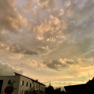 LBV-Landesgeschäftsstelle von der WG aus gesehen | © Nathaly Neusser