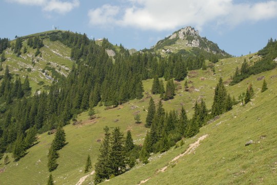 Almwirtschaft an der Rotwand im Mangfallgebirge | © Wolfgang Lorenz