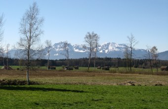 LBV Schutzgebiet Haarmoos mit vielen schneebedeckten Bergen im Hintergrund | © LBV