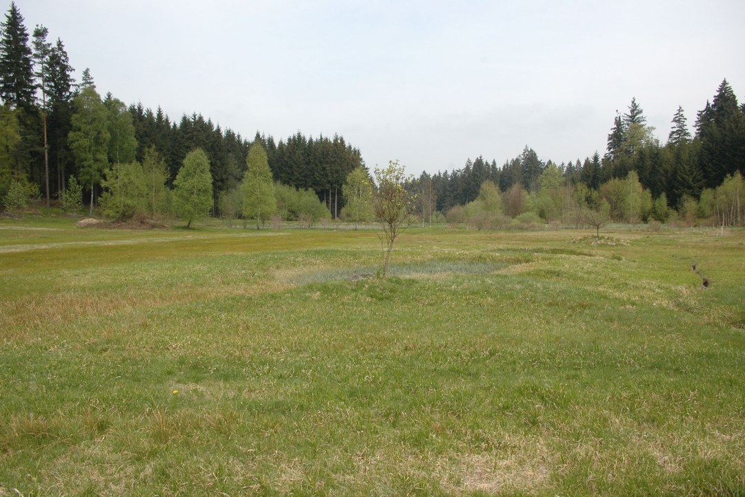 LBV-Schutzgebiet Kainzbachtal | © LBV