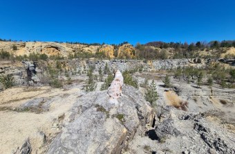 Bamberg | © Martin Rehm  (Bamberg)
