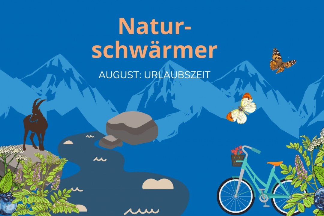 Naturschwärmer Monat August