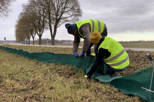 Zaunaufbau | © Marla Töpler