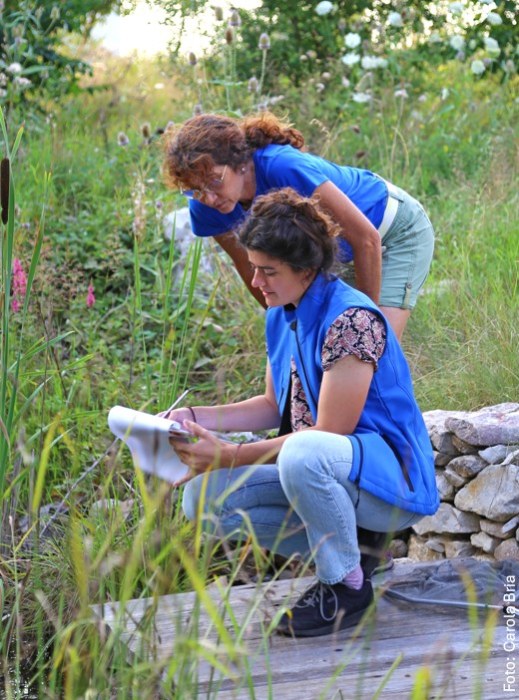 Zwei Frauen in blauen Westen begutachten Pflanzen am Teichrand, unterstützt durch den Landesbund für Vogel- und Naturschutz.
