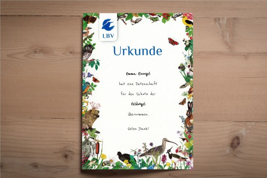 Beispiel Urkunde Patenurkunde Feldvögel Emma Eisvogel