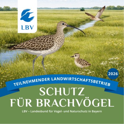 Eine Plakette des LBV zeigt Brachvögel in einer Wiesenlandschaft, die den Schutz dieser Vogelart fördert.