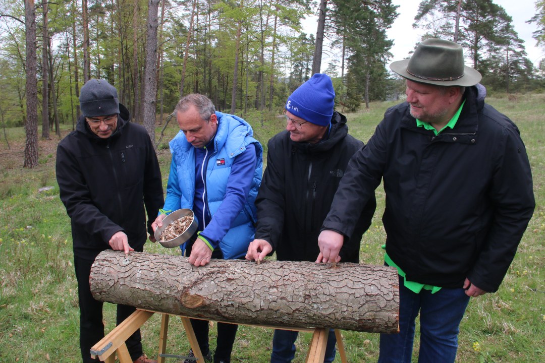 Prof. Dr. Claus Bässler (Universität Bayreuth), Thorsten Glauber (StMUV), Dr. Norbert Schäffer (LBV), Dr. Christoph Hahn (BMG) (v.l.n.r.) | © Michael Bäumler