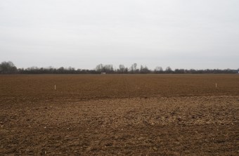 Projektfläche Straubing März 2021 | © Franziska Wenger