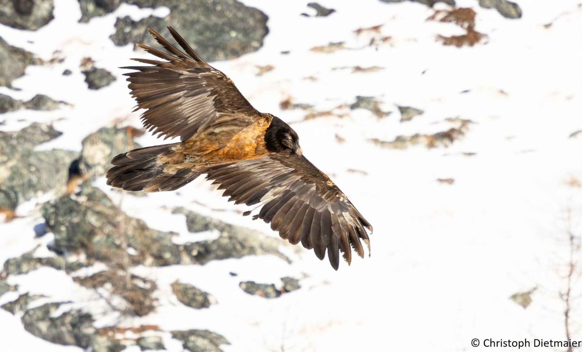 Recka in den Hohen Tauern November 2024 | © Christoph Dietmaier