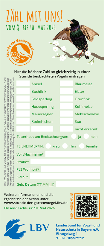 Zeitungsmeldebogen SdG 2026