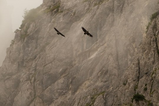 Sisi und Recka |© Uwe Stähler