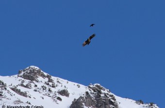 Sisi im April 2024 | © Alexandra de Crignis