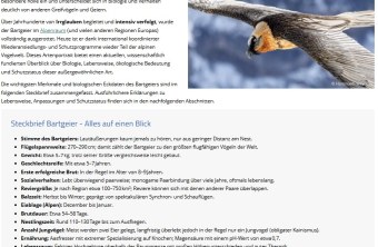 Steckbrief Bartgeier  |© David Schuhwerk, LBV