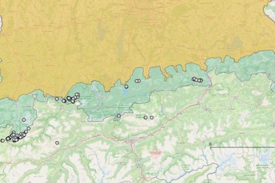 Steinbocksichtungen | © LBV