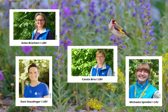 Team Vogelfreundlicher Garten
