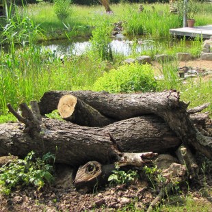 Totholz liegt im Garten, dahinter ein naturnaher Gartenteich und eine Terrasse | © Birgit Helbig