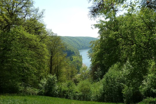 Weltenburger Enge. Von einem Hügel aus sieht man durch die Bäume auf einen Fluss hinab | © Peter Bria