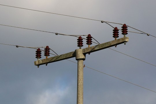 ungesicherter Mittelspannungsmast | © Peter Bria