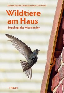 Eine Mauersegler fliegt um ein Haus, Buchcover „Wildtiere am Haus“ | © Haupt Verlag