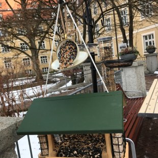 hier wird die Vogel-Futterstation des Münchenstif-Heimes St. Josef gezeigt |© Kathrin Lichtenauer