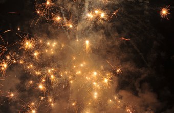 Feuerwerksverbot schützt Vögel an Silvester | © Dr. Olaf Broders