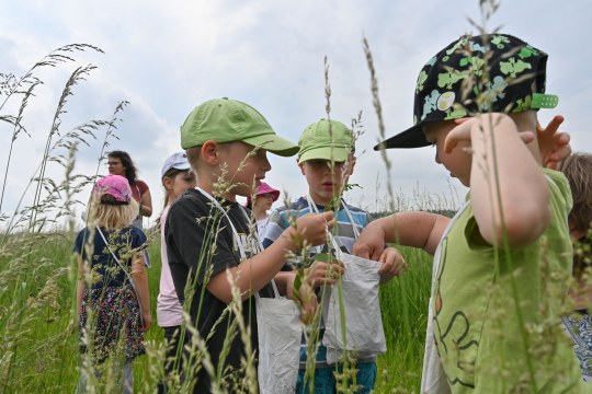 Kräutersammeln | © LBV