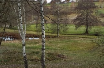 gute Umsetzung Landkreis Regen | © LBV