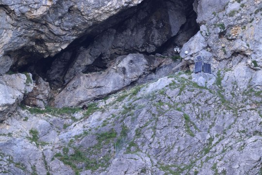 Auswilderungsnische von Weitem | © Markus Leitner