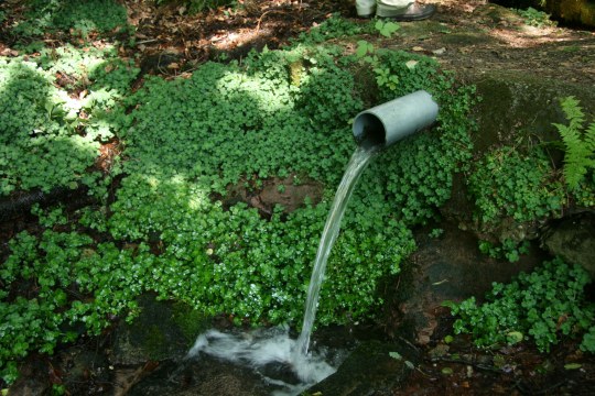 Verrohrung einer Quelle | © Eva Schubert