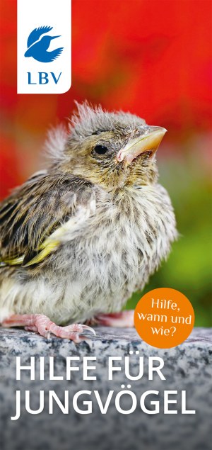 Cover Jungvogel gefunden LBV