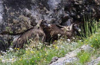 Dagmar und Recka sitzen zusammen | © Markus Leitner