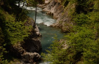 Einer der letzten freifließenden Wildwasserflüße in Bayern, die Eisenbreche | © Henning Werth