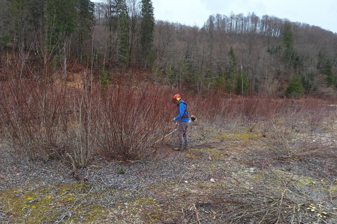Entbuschung einer Kiesfläche  | © Peter Holmeier