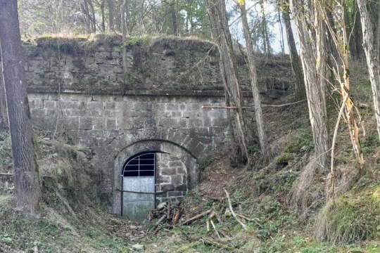 Fledermauskeller | LBV-Archiv