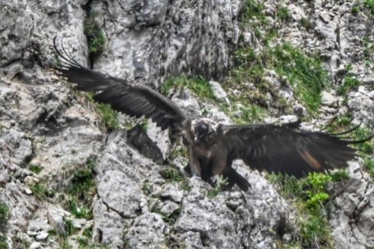 Reckas Ausflug | © LBV