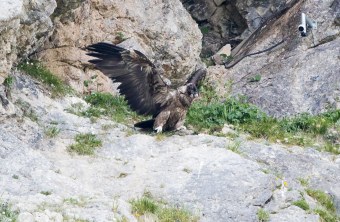 Sisi drei Tage vor ihrem Ausflug aus der Nische | © Richard Straub