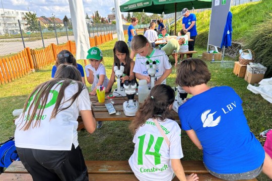 Greuther Fürth Kooperation Jugendarbeit | © Frauke Seitz
