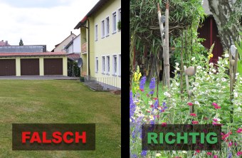 Zweigeteiltes Bild, links Negativbeispiel und rechts positiv mit vielen einheimischen bunten Pflanzen | © Carola Bria/ Birgit Helbig