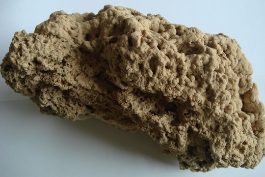 ein Brocken Kalktuff vor weißem Hintergrund | ©Zoran Jokic