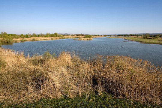 Altmühlsee | © Frank Derer