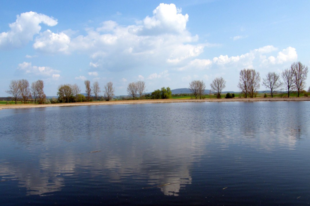 LBV-Schutzgebiet-Altsee