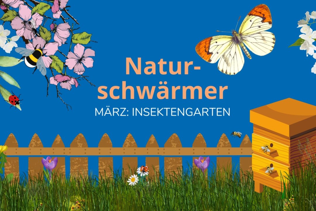 Naturschwärmer März Insektengarten