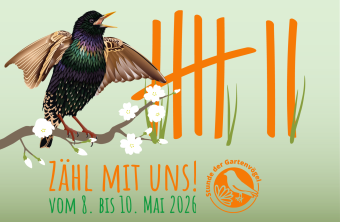 Ein bunter Star sitzt auf einem Ast mit Blüten und lädt zur Zählung der Gartenvögel vom LBV vom 8. bis 10. Mai 2026 ein.