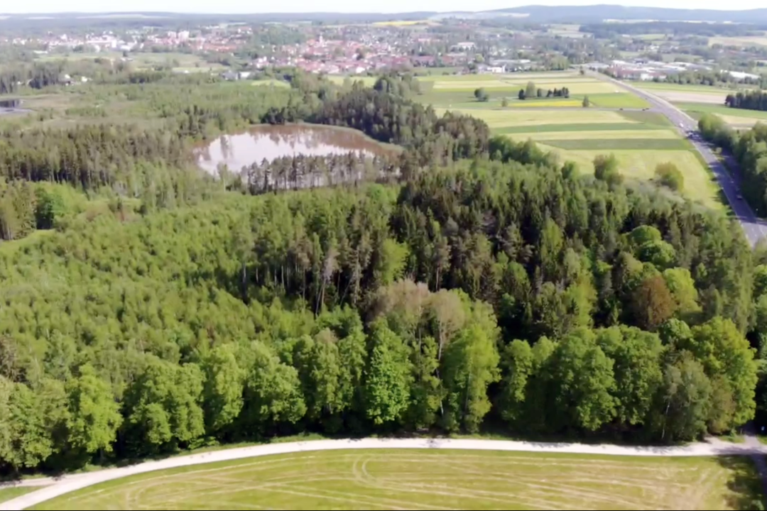 Moorbereich im Tirschenreuther Engelmannsholz. | © LBV