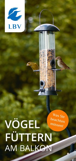 Flyer Vögel füttern am Balkon