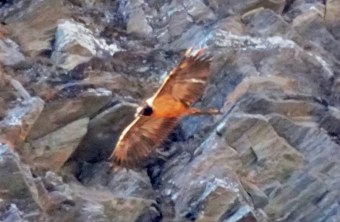 Recka im November 2024 im Großglocknergebiet | © Rupp Porti