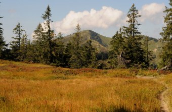 Riedberger Horn im Sommer | © Dr. Eberhard Pfeuffer