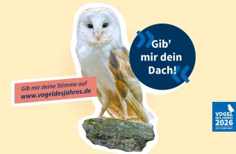 Eine Schleiereule sitzt auf einem Stein mit einem Aufruf zur Wahl des "Vogel des Jahres" durch den LBV.